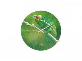 Часы настенные Nicole Time NT503 в Решётах - reshyoty.mebel-nsk.ru | фото