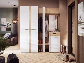 Модульная прихожая Санса (дуб сонома/белый) в Решётах - reshyoty.mebel-nsk.ru | фото